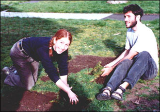 Walnut St. garden.